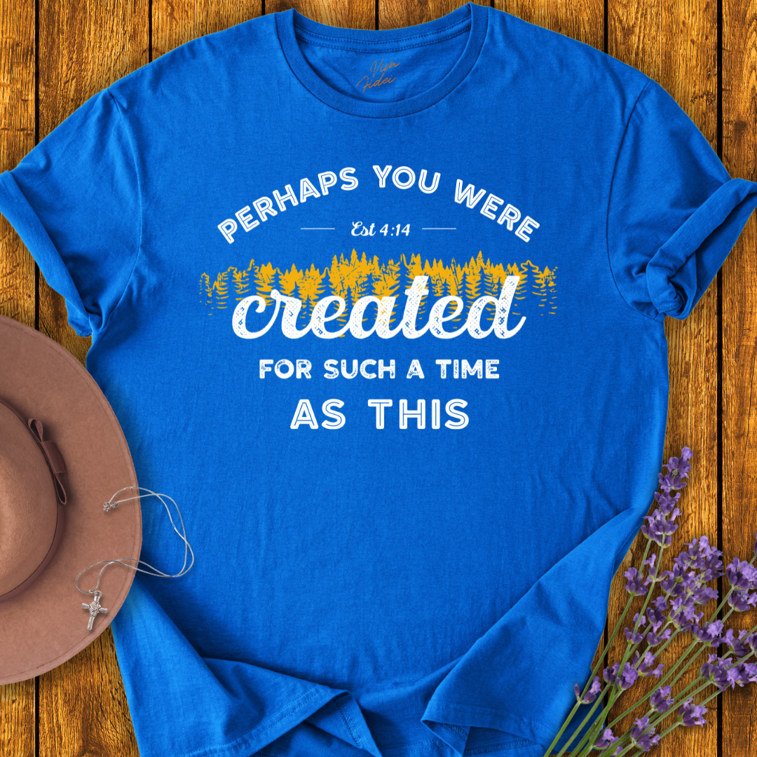 Perhaps You Were Created T-Shirt