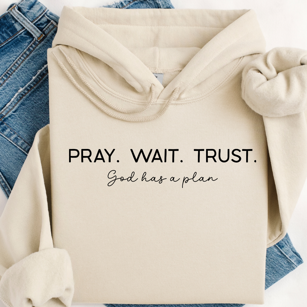 Pray Wait Trust Hoodie