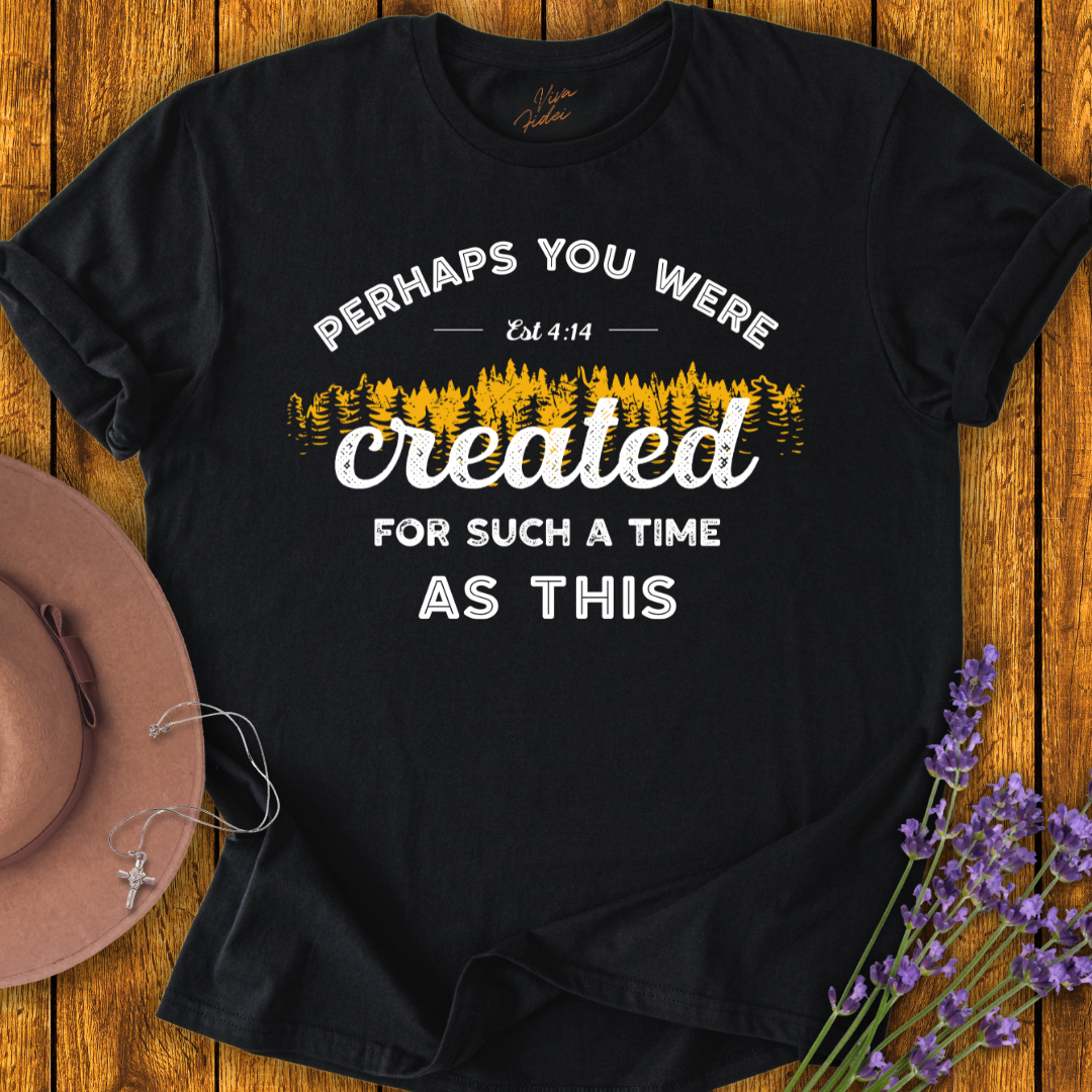 Perhaps You Were Created T-Shirt