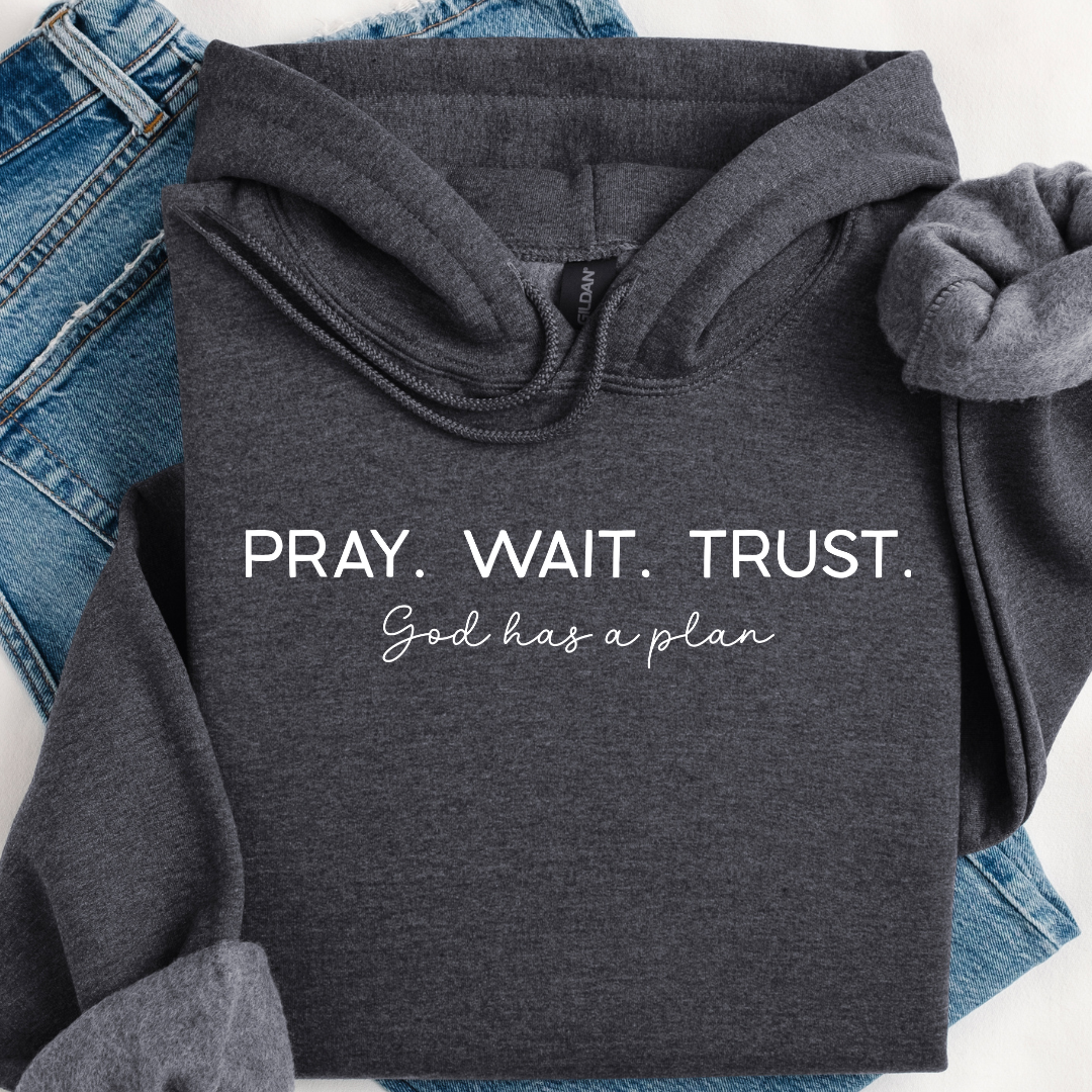 Pray Wait Trust Hoodie