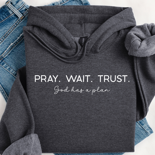 Pray Wait Trust Hoodie