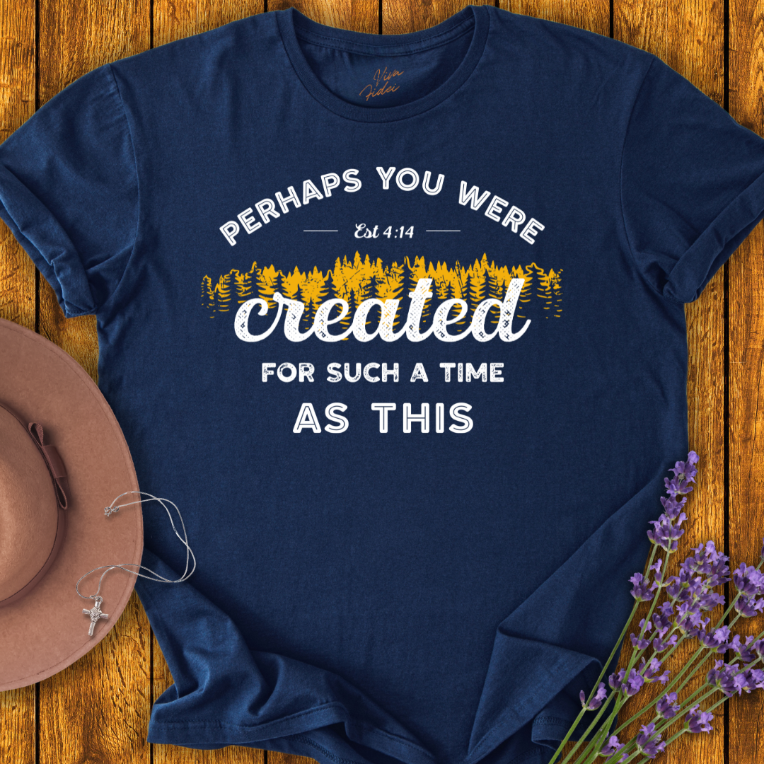 Perhaps You Were Created T-Shirt