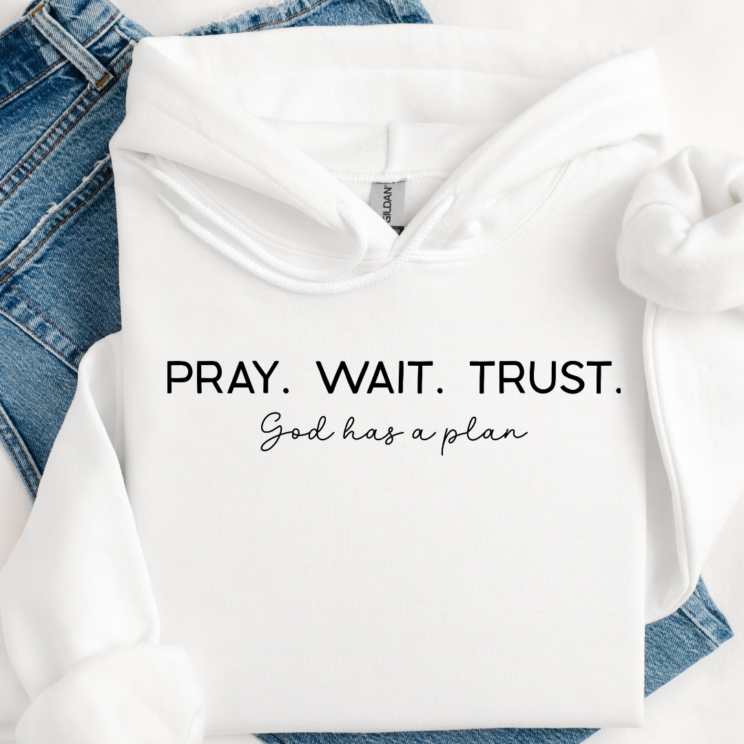 Pray Wait Trust Hoodie